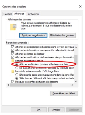 Modification des paramètres avancées dans l'Explorateur de fichiers de Windows