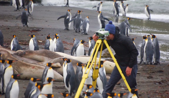 opérateur réalisant des opérations de nivellement au milieu des pingouins